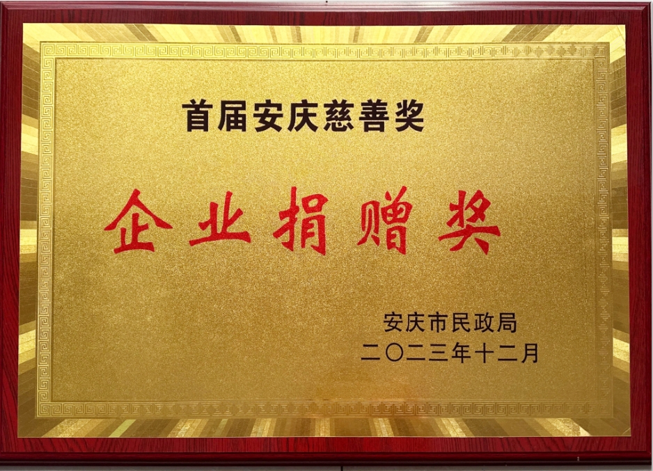 向善而行 勇担责任｜长银矿业集团荣获首届“安庆慈善奖”