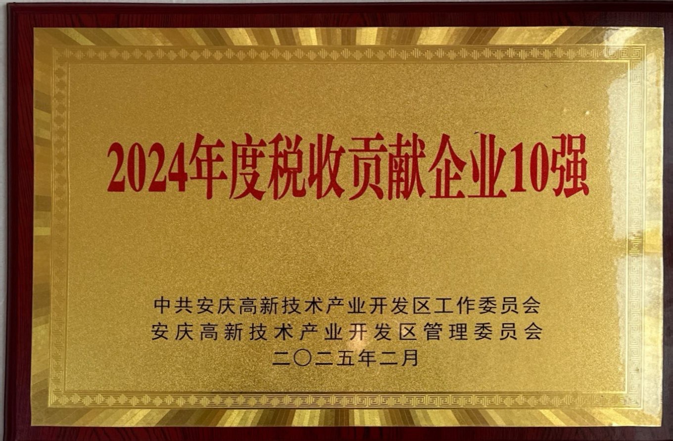 步履不停 荣耀加冕｜长银矿业荣获高新区“2024年度税收贡献企业10强”称号
